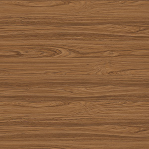 ABS TEAK